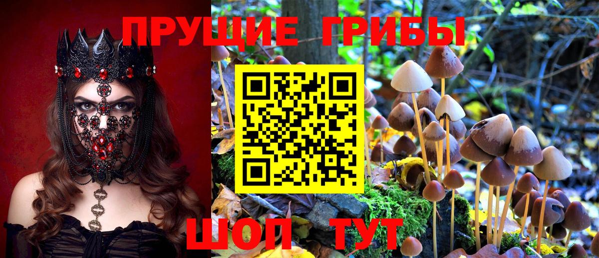 Семёнов  Псилоцибиновые грибы мухоморы  Вход с VPN 
